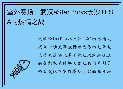 室外赛场：武汉eStarProvs长沙TES.A的热情之战
